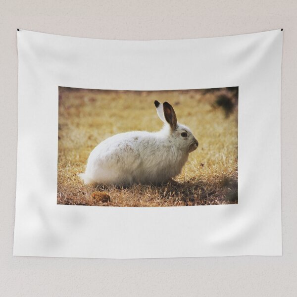Item preview, Snowshoe Hare designed and sold by Alyce Taylor.