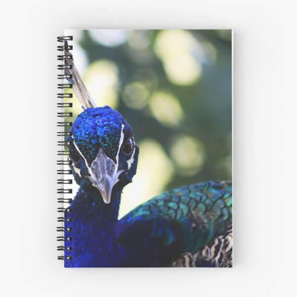 Item preview, Beautiful Peacock designed and sold by Alyce Taylor.