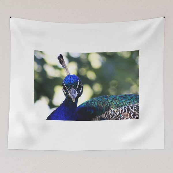 Item preview, Beautiful Peacock designed and sold by Alyce Taylor.