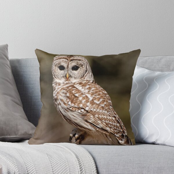 Item preview, Barred Owl - Brighton, Ontario designed and sold by Tracey  Dryka.