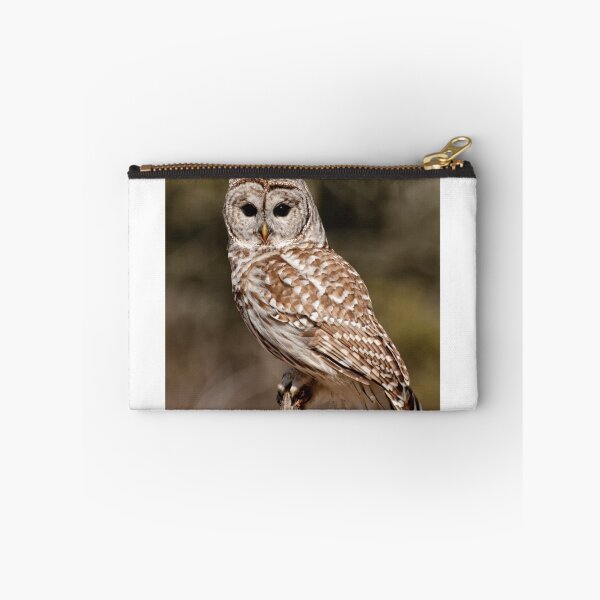 Item preview, Barred Owl - Brighton, Ontario designed and sold by Tracey  Dryka.