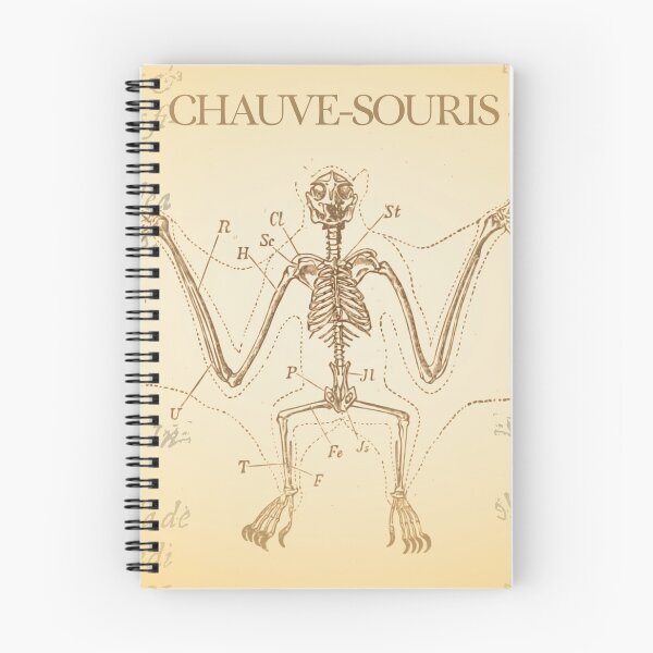 Item preview, Chauve Souris designed and sold by Williambeuk.