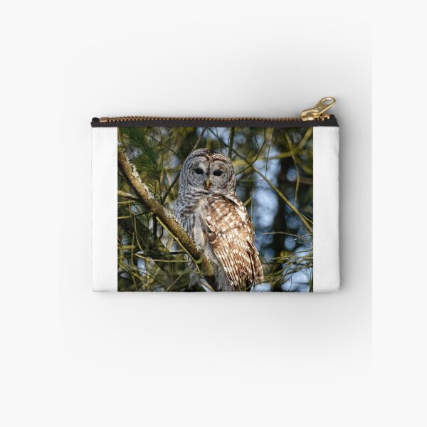 Item preview, Barred Owl ( Strix varia)- Brighton, Ontario designed and sold by Tracey  Dryka.