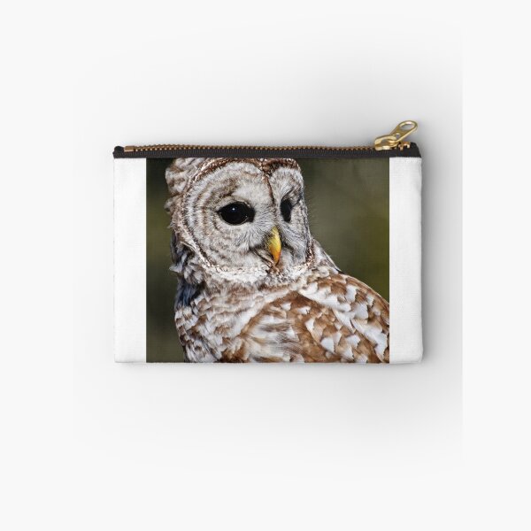 Item preview, Barred Owl - Brighton, Ontario designed and sold by Tracey  Dryka.