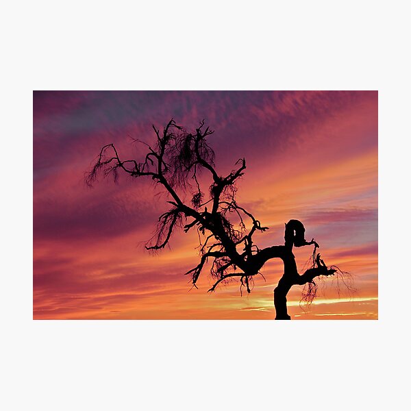 Item preview, An Old Soul In Arizona designed and sold by Peggy  Woods Ryan.
