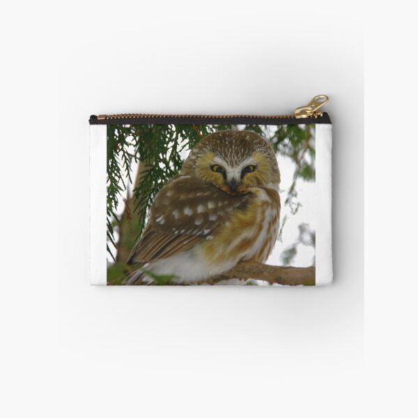 Item preview, Northern Saw - Whet Owl - Ottawa, Ontario designed and sold by Tracey  Dryka.