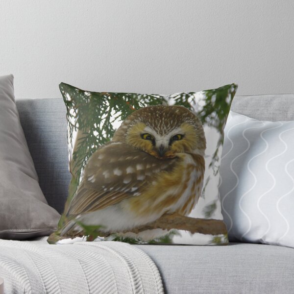Item preview, Northern Saw - Whet Owl - Ottawa, Ontario designed and sold by Tracey  Dryka.