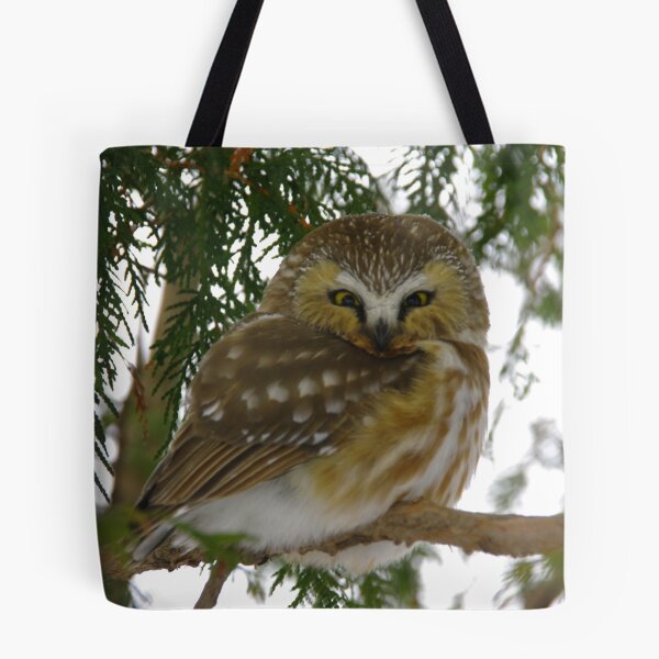 Item preview, Northern Saw - Whet Owl - Ottawa, Ontario designed and sold by Tracey  Dryka.
