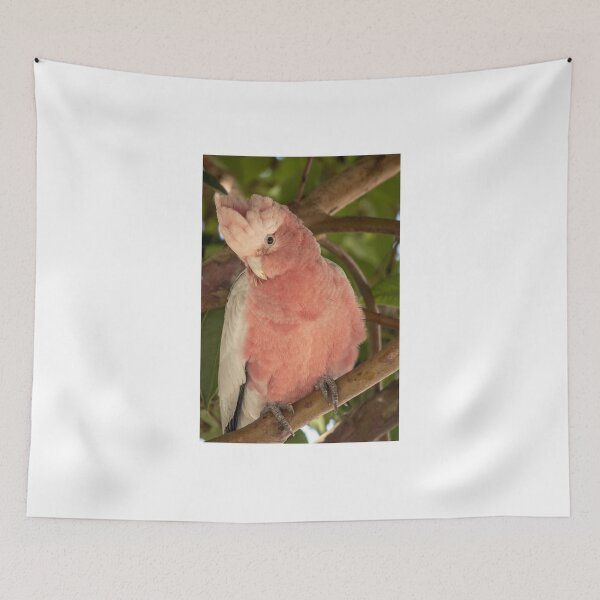 Item preview, Galah   (Eolophus roseicapilla) designed and sold by DPalmer.