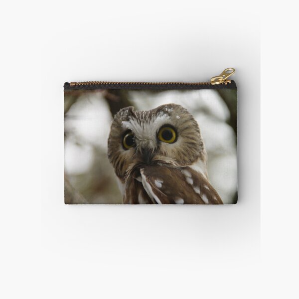Item preview, Northern Saw - Whet Owl - Amherst Island, Ontario designed and sold by Tracey  Dryka.