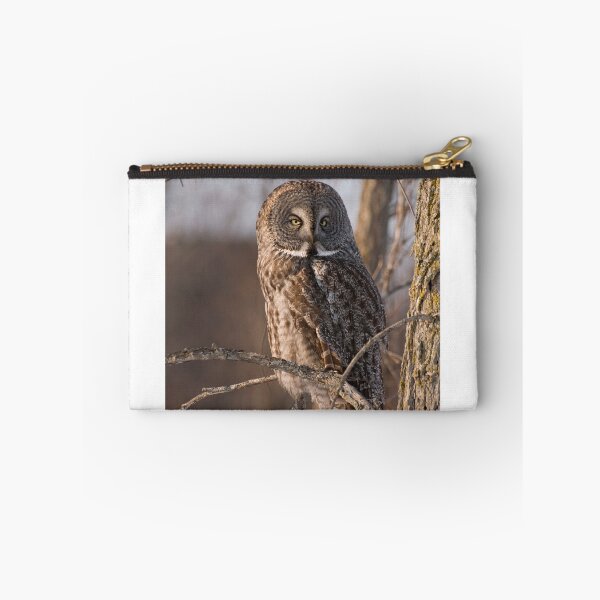 Item preview, Great Grey Owl, Ottawa, Ontario designed and sold by Tracey  Dryka.