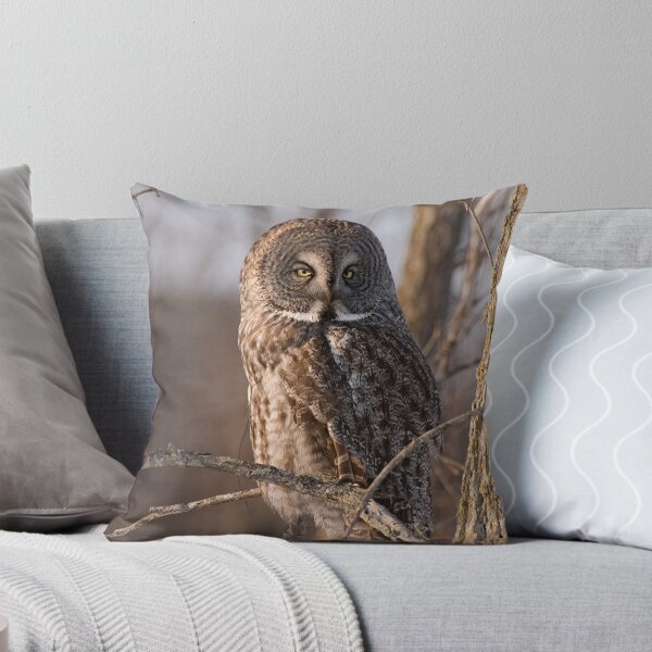 Item preview, Great Grey Owl, Ottawa, Ontario designed and sold by Tracey  Dryka.