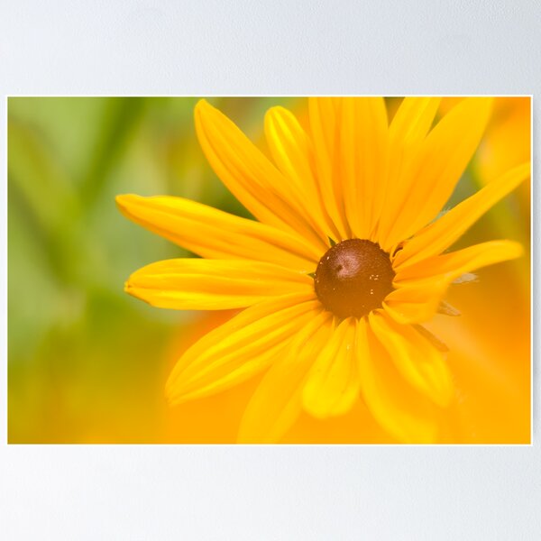 Item preview, Yellow Petals of joy designed and sold by luther102.