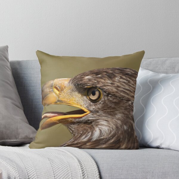 Artikelvorschau, Juvenile Bald Eagle entworfen und verkauft von Tracey  Dryka.