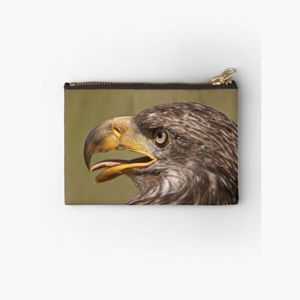 Artikelvorschau, Juvenile Bald Eagle entworfen und verkauft von Tracey Dryka.