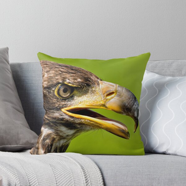 Item preview, Juvenile Bald Eagle - Parc Omega, Montebello, PQ designed and sold by Tracey  Dryka.