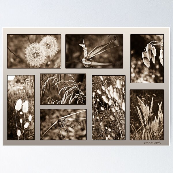 Item preview, Montage of grasses designed and sold by pennyswork.