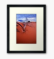 desert struggle Framed Print