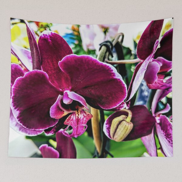 Item preview, Plum Orchid designed and sold by AmberELamoreaux.