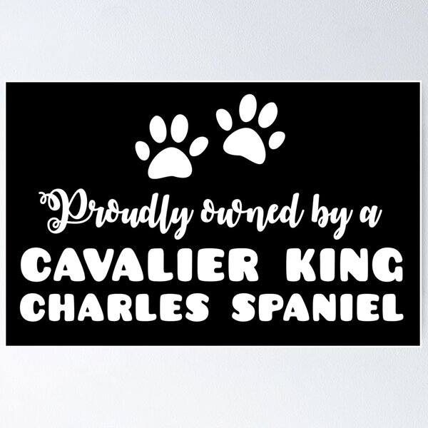Item preview, Proudly owned by a Cavalier king charles spaniel (cute puppy dog paws) designed and sold by jazzydevil.