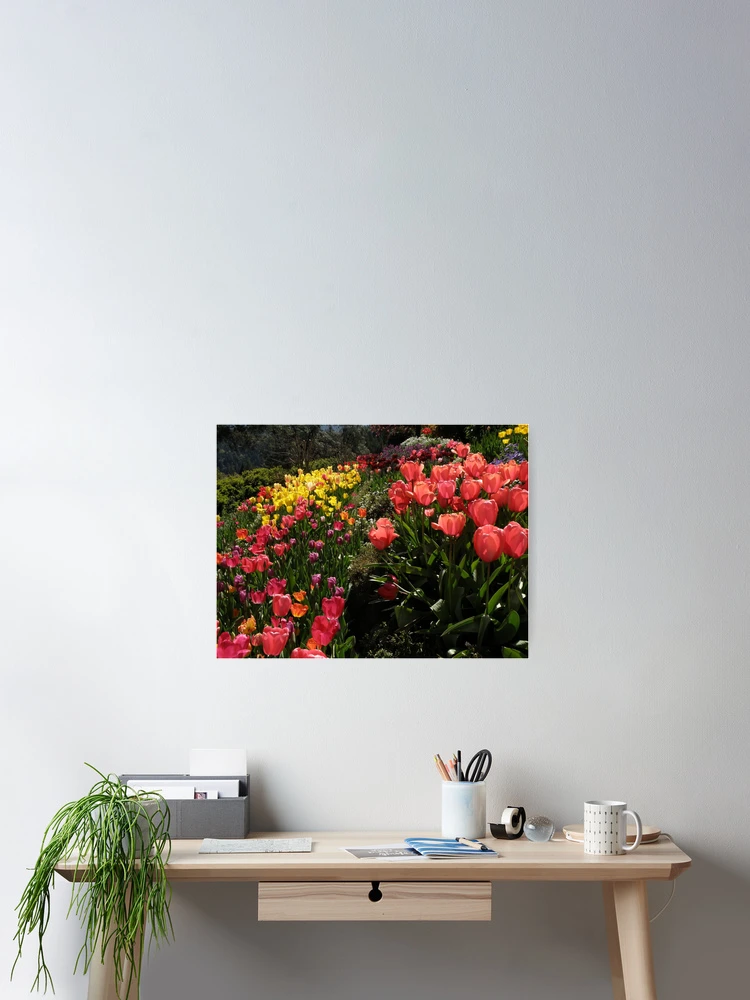 Thumbnail 2 of 3, Poster, Spring Intoxication designed and sold by Patty Lewis.