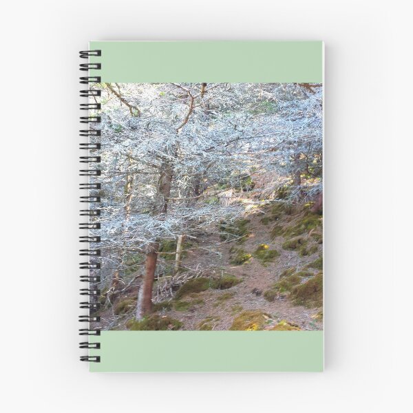 Item preview, Off the Beaten Path - Dead Forest designed and sold by Totallyalive.