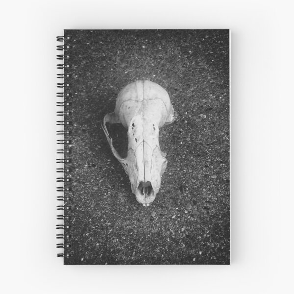 Item preview, Black and White Squirrel Skull designed and sold by mreleganza.