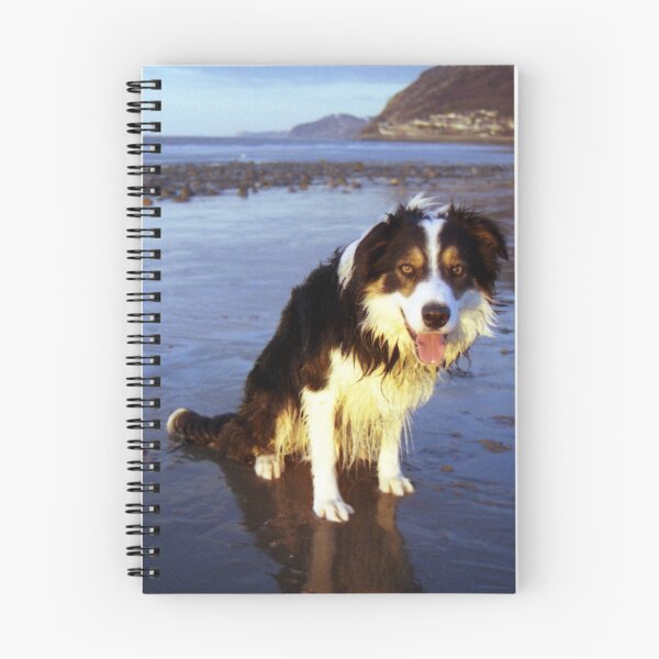 Item preview, The Joy of Laddie designed and sold by Michael Haslam.