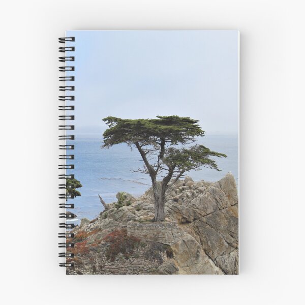 Item preview, The Lone Cypress (pt.3) designed and sold by Emily Hermann.