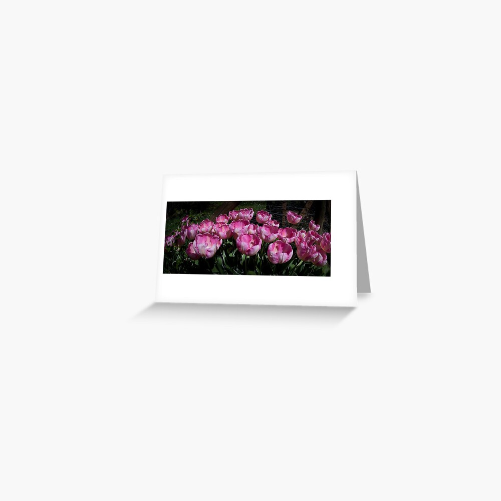 Abundance Greeting Card
