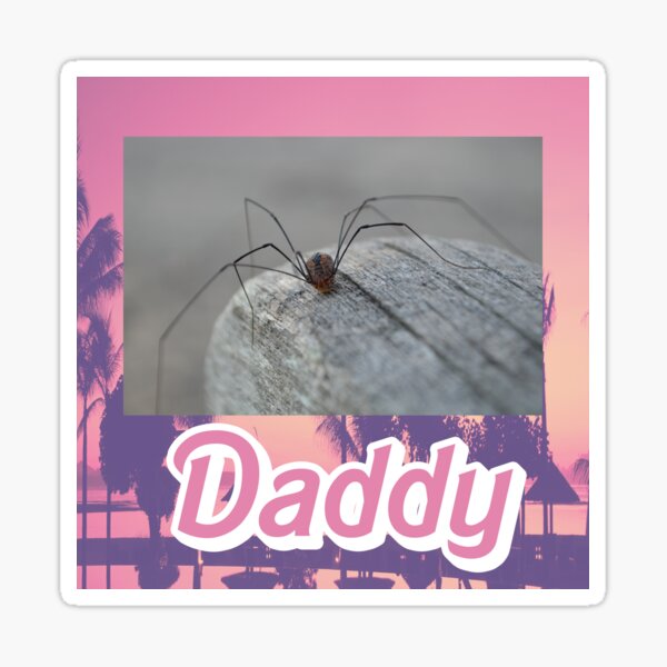 Autistic memes for spider loving teens - Daddy long legs memes