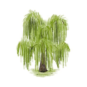 Artwork thumbnail, Willow Tree by dart frog