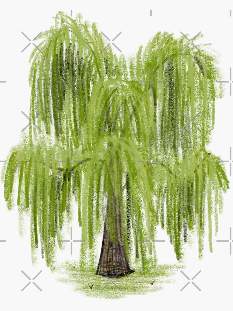 Thumbnail 3 of 3, Sticker, Willow Tree designed and sold by Dart-Frog.