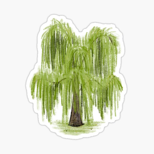 Weeping Willow Painting by Jane Small - Pixels Merch