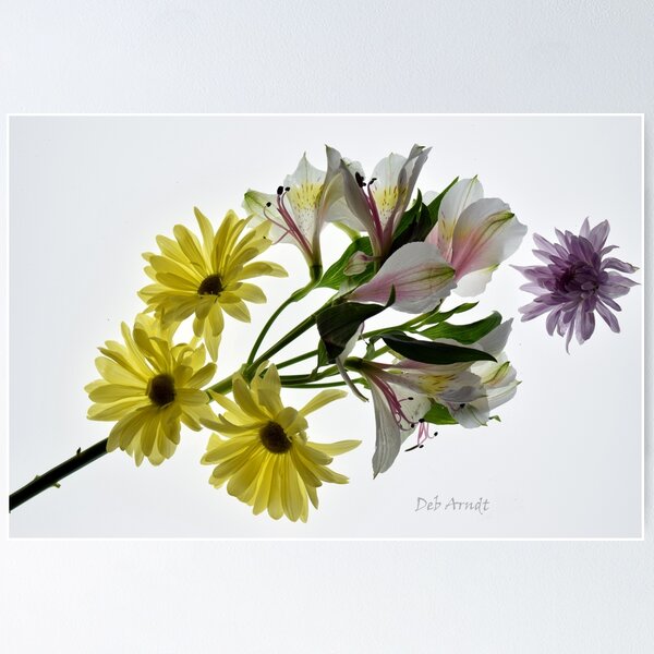 Item preview, Fresh Beginnings designed and sold by AngelArtwork.