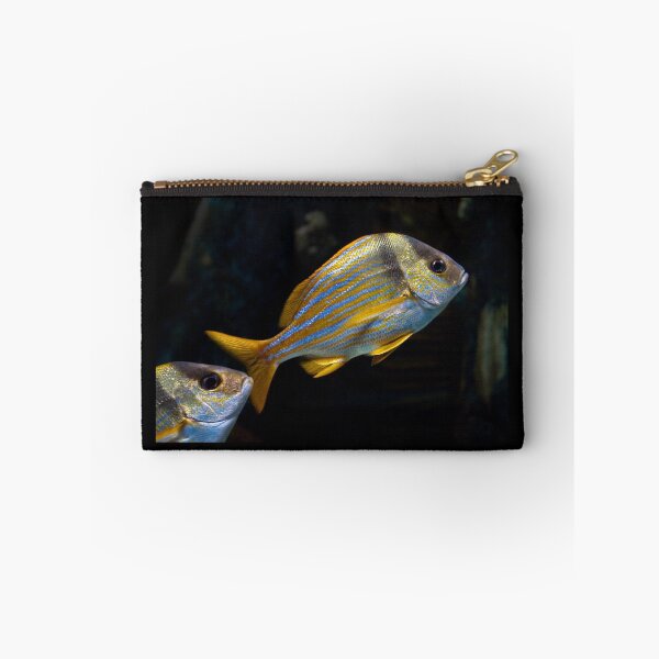 Item preview, Blue Striped Fish designed and sold by dlamb.