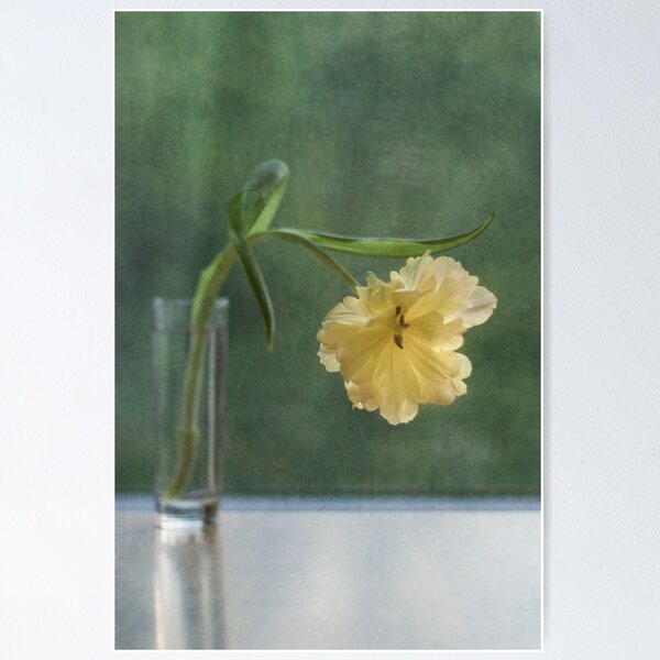 Item preview, Silent life designed and sold by Maria Ismanah Schulze-Vorberg.