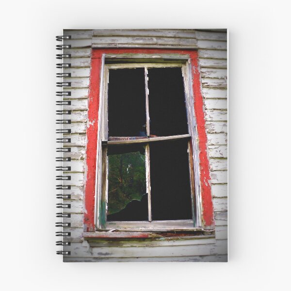 Item preview, Looking Out And In  designed and sold by Paul Lubaczewski.