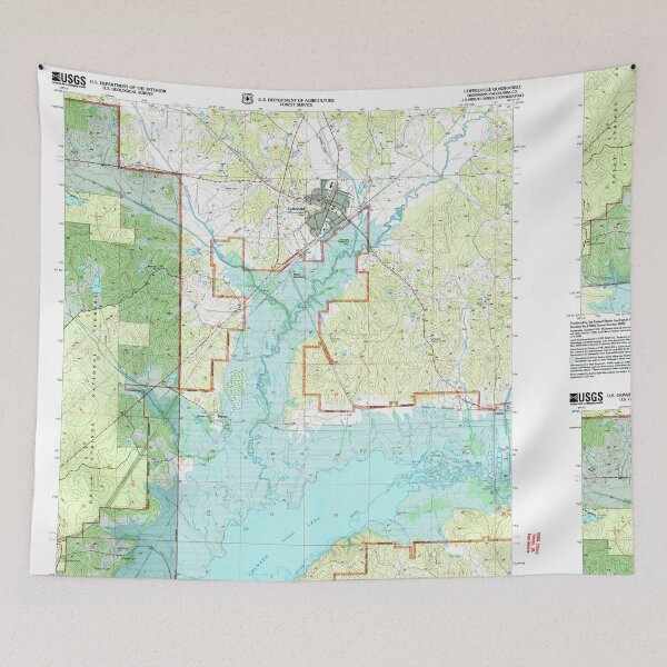 Item preview, USGS TOPO Map Mississippi MS Coffeeville 335492 2000 24000 designed and sold by WetdryvacRBO2.