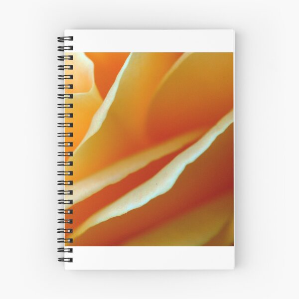 Item preview, Peachy Rose in my Peebles garden designed and sold by rosie320d.