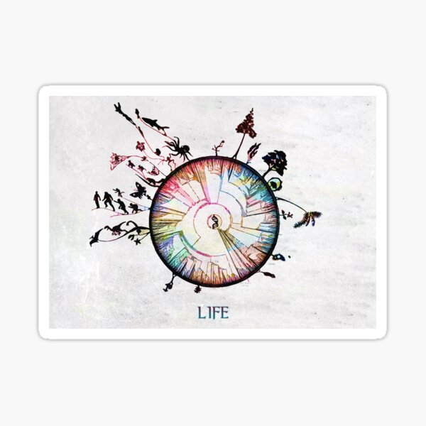 Item preview, Circle of the life  designed and sold by Showstroopart Christian Velazquez.