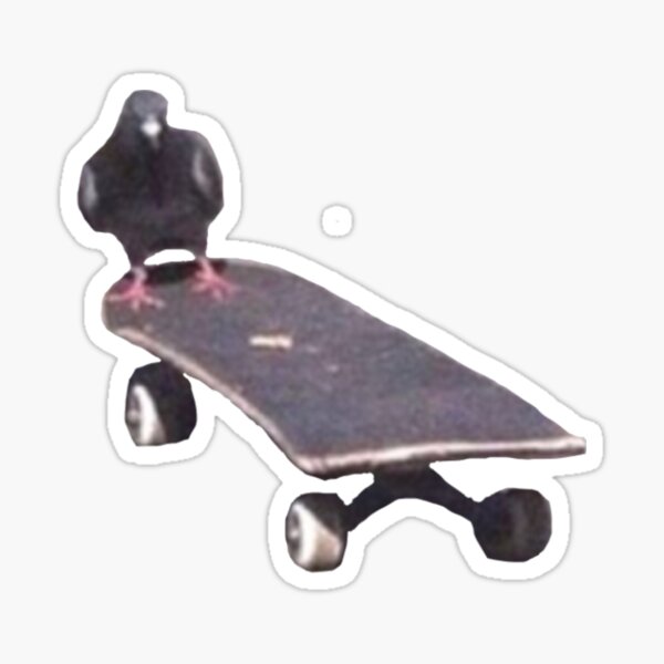 SkateBIRD: passarinhos a grindar com as asinhas a bater – Rubber