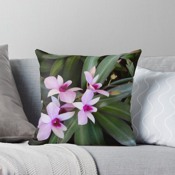 Item preview, Cooktown Orchid Queensland  designed and sold by Robyn Williams.