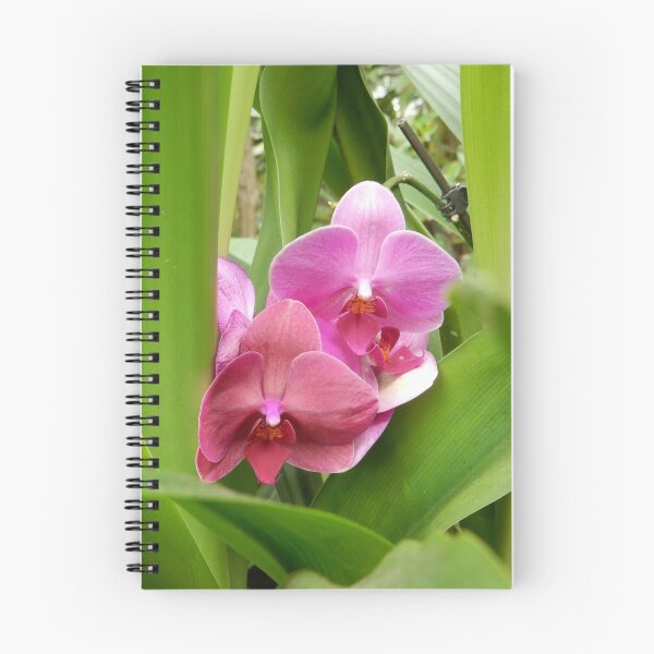 Item preview, Tropical Paradise Orchid designed and sold by Jeanie93.