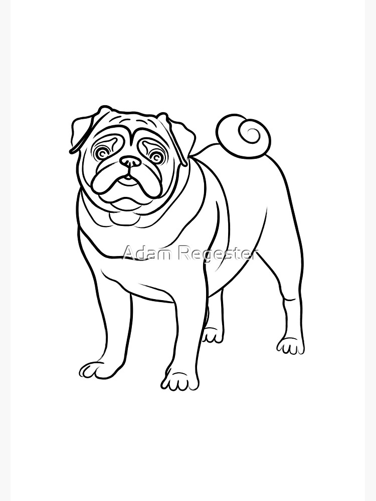 Pug Line Drawing by AdamRegester.