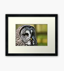Who Framed Print
