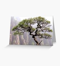 Bonsai tree on Huang Shan, Yellow Mountain, China Greeting Card
