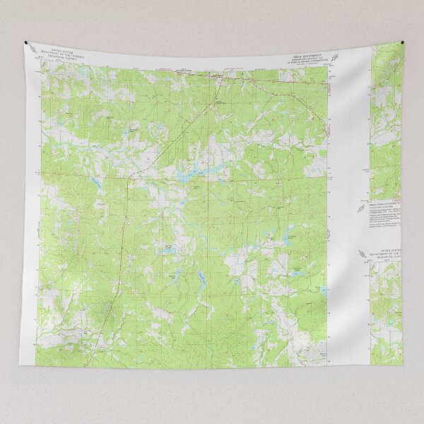 Item preview, USGS TOPO Map Mississippi MS Coila 335496 1975 24000 designed and sold by WetdryvacRBO2.