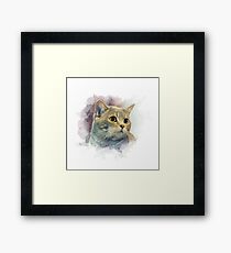 Purebred cat Framed Print
