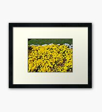Lovely Framed Print